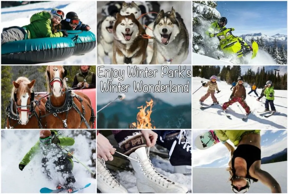 This lively exterior image features people tubing down a snowy slope, huskies pulling a sled, skiers and snowboarders in action, children playing in the snow, and a cozy campfire gathering. The setting is bustling with winter adventure activities, capturing the spirit of outdoor fun and excitement.
